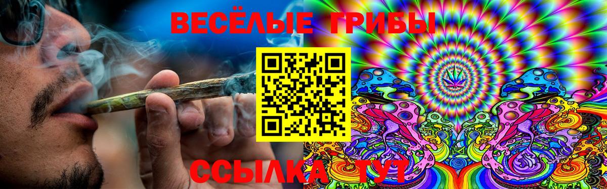 Галлюциногенные грибы GOLDEN TEACHER  Псилоцибиновые грибы прущие грибы  Елец  Вход с VPN 